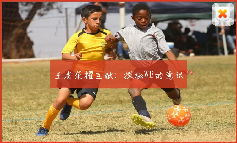 王者荣耀巨献：探秘WE的意识