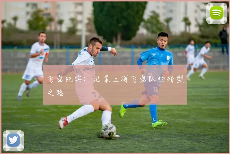 飞盘纪实：记录上海飞盘队的转型之路